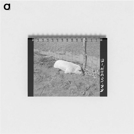 アートメモ帳-Hog Drowned in the Flood
 - ラッセル リー Memo.