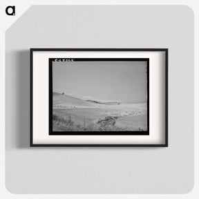 アートポスター-Lodged Wheat, Idaho
 - ラッセル リー Poster.