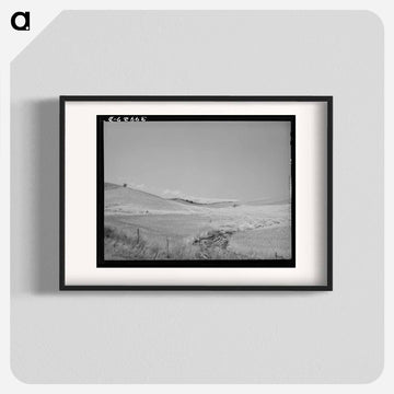 Lodged Wheat, Idaho
 - ラッセル リー Poster.