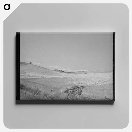 アートパネル-Lodged Wheat, Idaho
 - ラッセル リー Canvas.