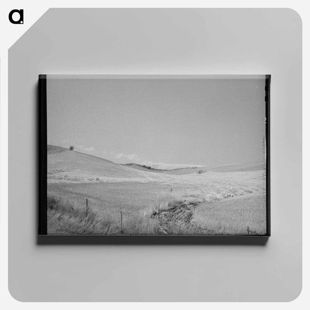 アートパネル-Lodged Wheat, Idaho
 - ラッセル リー Canvas.