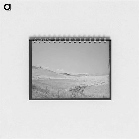 アートメモ帳-Lodged Wheat, Idaho
 - ラッセル リー Memo.