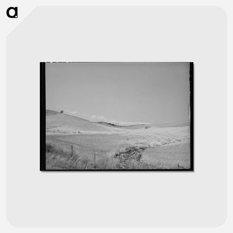 アートポストカード-Lodged Wheat, Idaho
 - ラッセル リー Postcard.