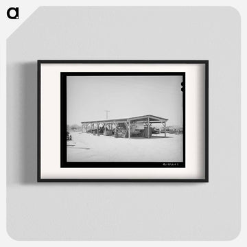 Casa Grande Valley Farms Shelter
 - ラッセル リー Poster.