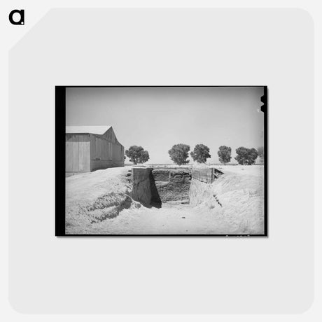 アートポストカード-Trench Silo at Casa Grande Valley Farms
 - ラッセル リー Postcard.
