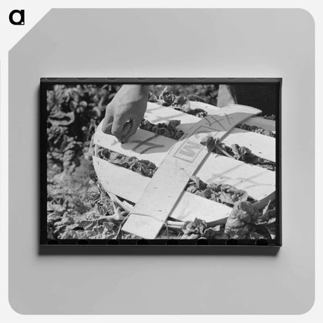 アートパネル-Mexican Spinach Cutter
 - ラッセル リー Canvas.