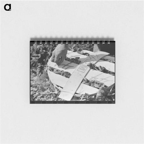 アートメモ帳-Mexican Spinach Cutter
 - ラッセル リー Memo.