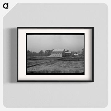 Cranberry Bog, Southern New Jersey
 - ラッセル リー Poster.