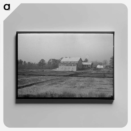 アートパネル-Cranberry Bog, Southern New Jersey
 - ラッセル リー Canvas.