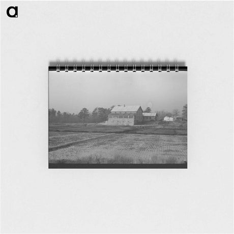 アートメモ帳-Cranberry Bog, Southern New Jersey
 - ラッセル リー Memo.
