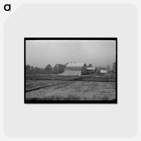 アートポストカード-Cranberry Bog, Southern New Jersey
 - ラッセル リー Postcard.