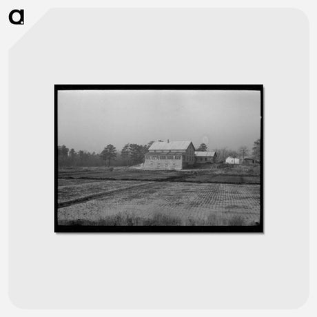 アートポストカード-Cranberry Bog, Southern New Jersey
 - ラッセル リー Postcard.