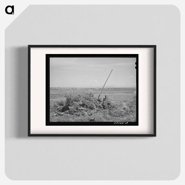 Vale-Owyhee Brush Pile
 - ラッセル リー Poster.