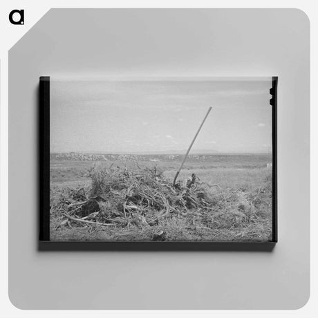 アートパネル-Vale-Owyhee Brush Pile
 - ラッセル リー Canvas.