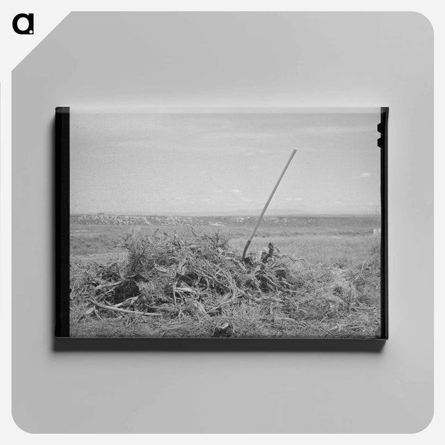 アートパネル-Vale-Owyhee Brush Pile
 - ラッセル リー Canvas.