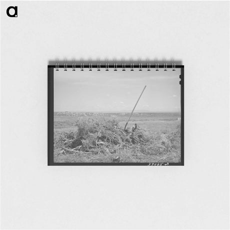 アートメモ帳-Vale-Owyhee Brush Pile
 - ラッセル リー Memo.