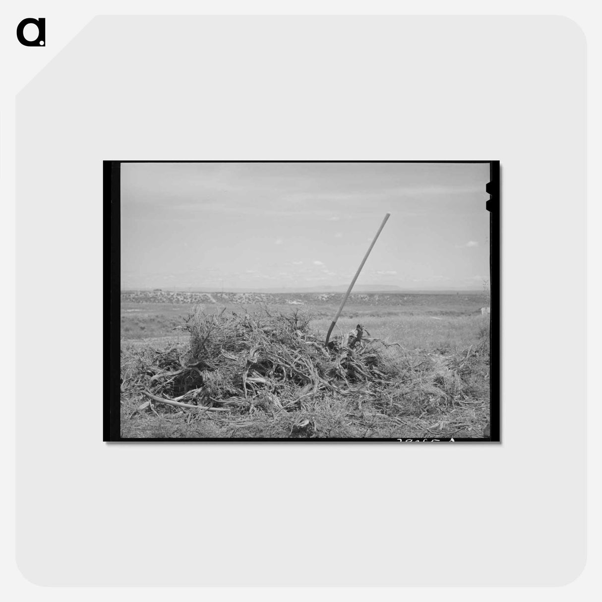 アートポストカード-Vale-Owyhee Brush Pile
 - ラッセル リー Postcard.