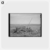 アートポストカード-Vale-Owyhee Brush Pile
 - ラッセル リー Postcard.