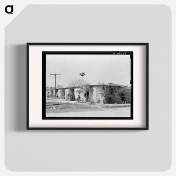 Mexican Housing, Alamo, Texas
 - ラッセル リー Poster.