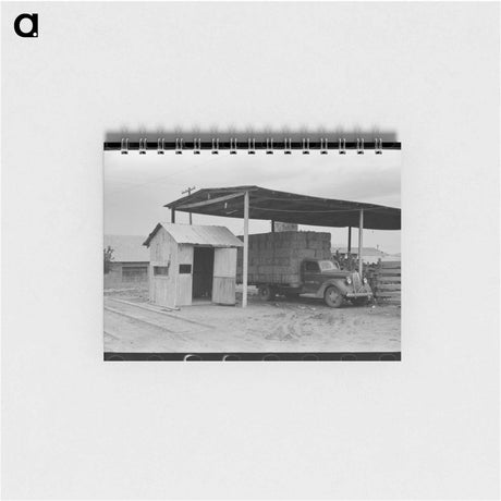 アートメモ帳-Scales and Truckload of Peanut Hay
 - ラッセル リー Memo.