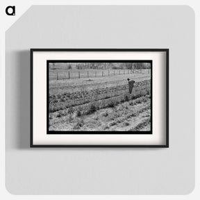 アートポスター-Hoeing Garden, Sabine Farms
 - ラッセル リー Poster.