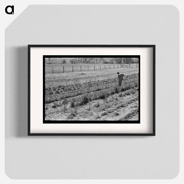 Hoeing Garden, Sabine Farms
 - ラッセル リー Poster.