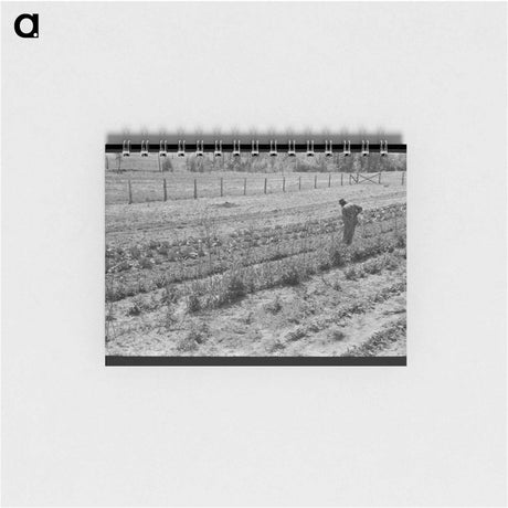 アートメモ帳-Hoeing Garden, Sabine Farms
 - ラッセル リー Memo.