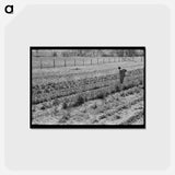 アートポストカード-Hoeing Garden, Sabine Farms
 - ラッセル リー Postcard.