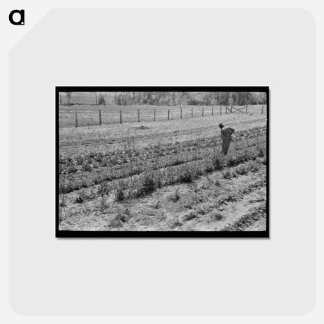アートポストカード-Hoeing Garden, Sabine Farms
 - ラッセル リー Postcard.