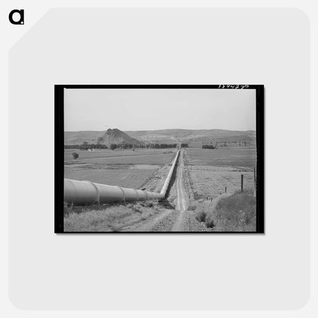 アートポストカード-Owyhee River Conduit
 - ラッセル リー Postcard.