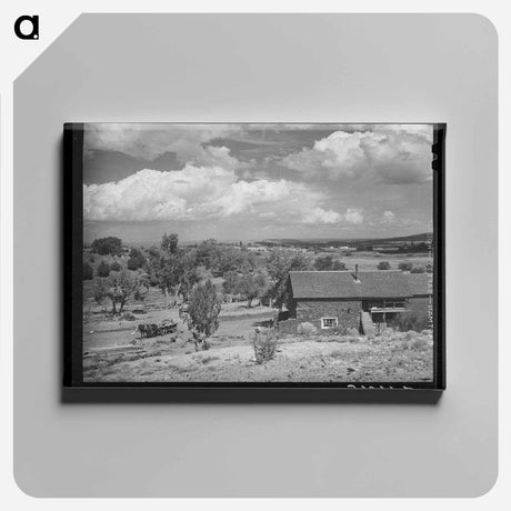アートパネル-Farmstead, Concho, Arizona
 - ラッセル リー Canvas.