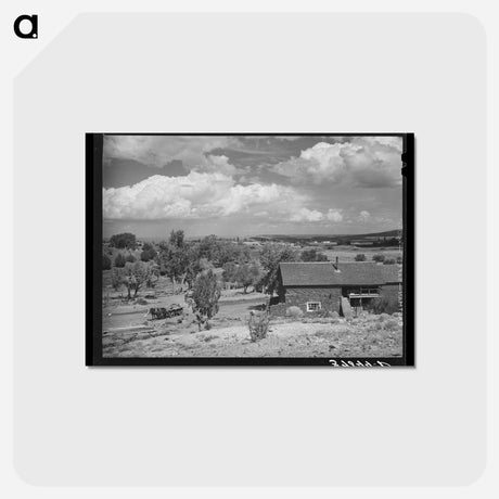 アートポストカード-Farmstead, Concho, Arizona
 - ラッセル リー Postcard.