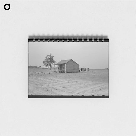 アートメモ帳-Ruined Harvest
 - ラッセル リー Memo.