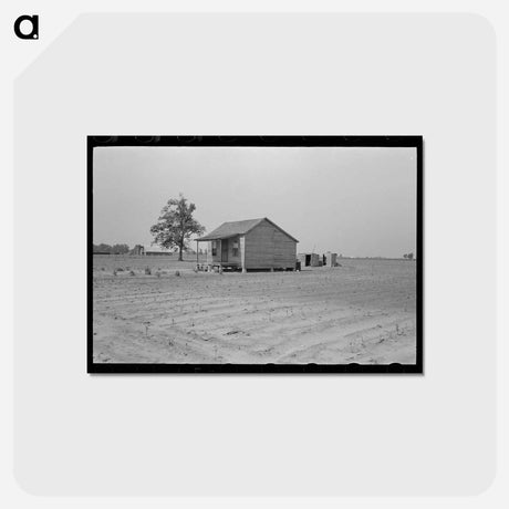 アートポストカード-Ruined Harvest
 - ラッセル リー Postcard.