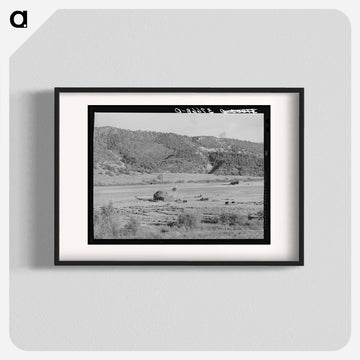 Hay in Ouray County
 - ラッセル リー Poster.