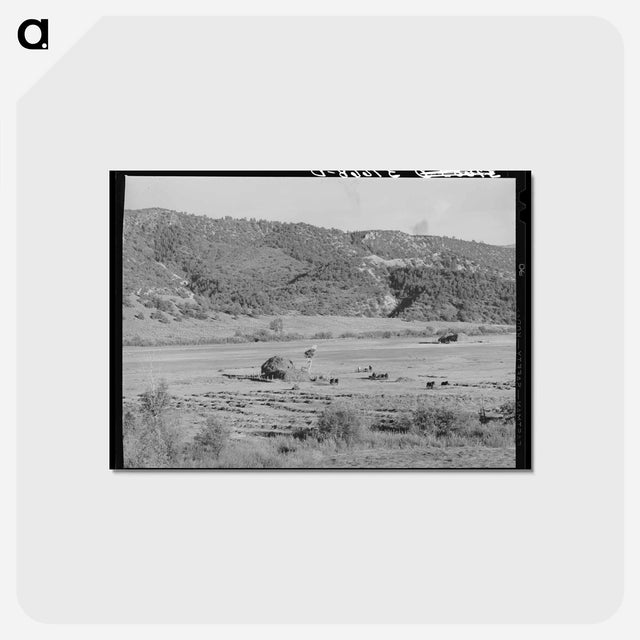アートポストカード-Hay in Ouray County
 - ラッセル リー Postcard.