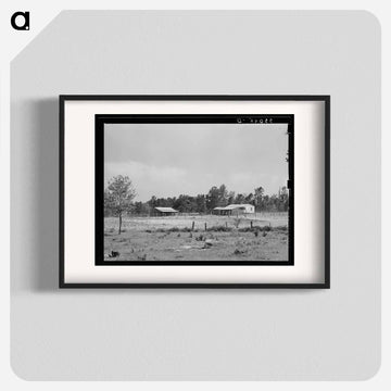 Sabine Farms
 - ラッセル リー Poster.