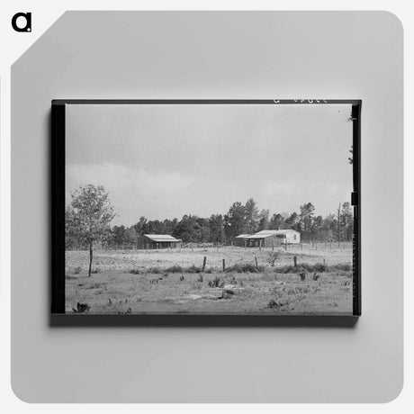 アートパネル-Sabine Farms
 - ラッセル リー Canvas.
