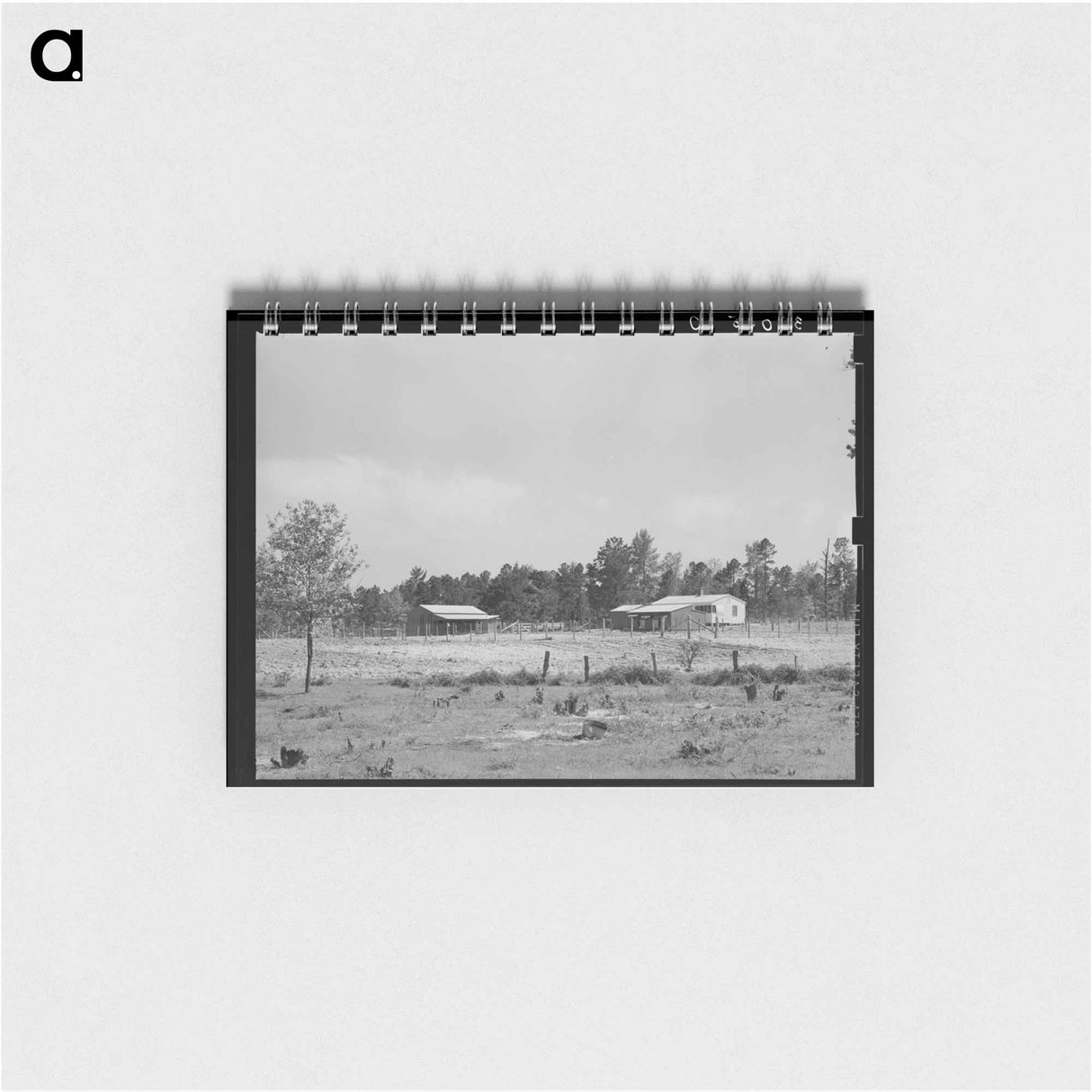 アートメモ帳-Sabine Farms
 - ラッセル リー Memo.