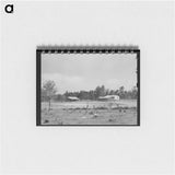 アートメモ帳-Sabine Farms
 - ラッセル リー Memo.