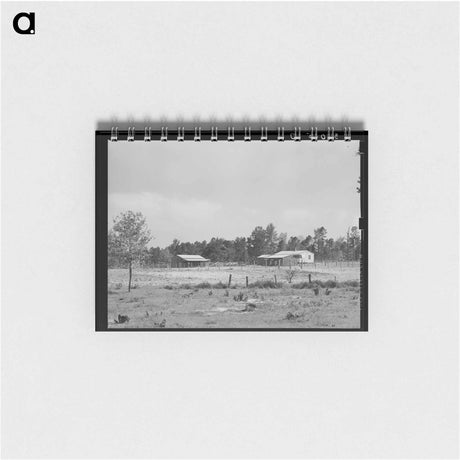 アートメモ帳-Sabine Farms
 - ラッセル リー Memo.