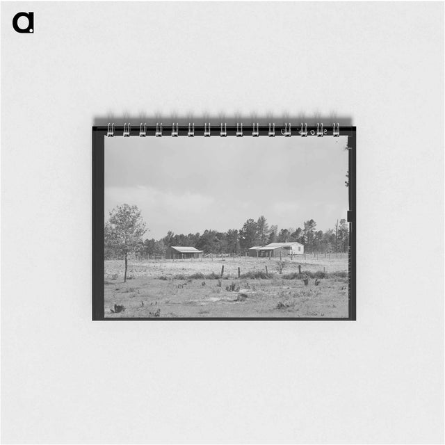 アートメモ帳-Sabine Farms
 - ラッセル リー Memo.