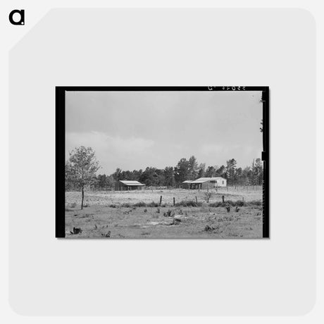 アートポストカード-Sabine Farms
 - ラッセル リー Postcard.