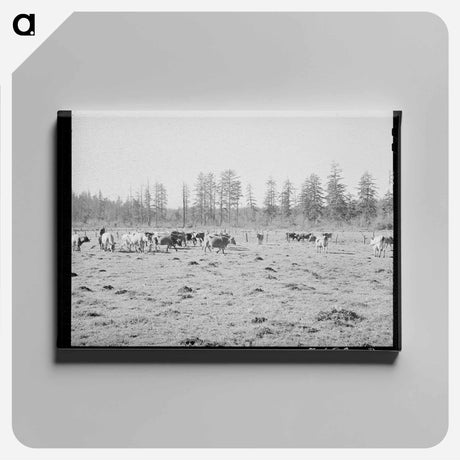 アートパネル-Tillamook Marsh
 - ラッセル リー Canvas.