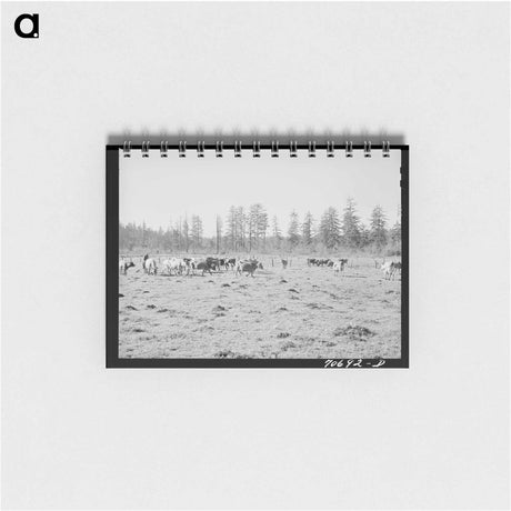 アートメモ帳-Tillamook Marsh
 - ラッセル リー Memo.