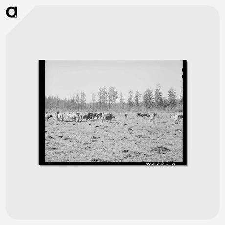 アートポストカード-Tillamook Marsh
 - ラッセル リー Postcard.