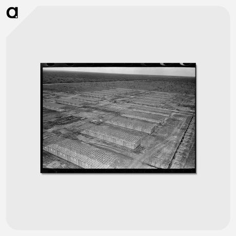 アートポストカード-Migrant Camp Construction
 - ラッセル リー Postcard.