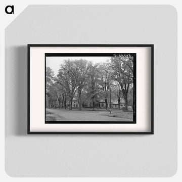 Street Scene, Bradford
 - ラッセル リー Poster.