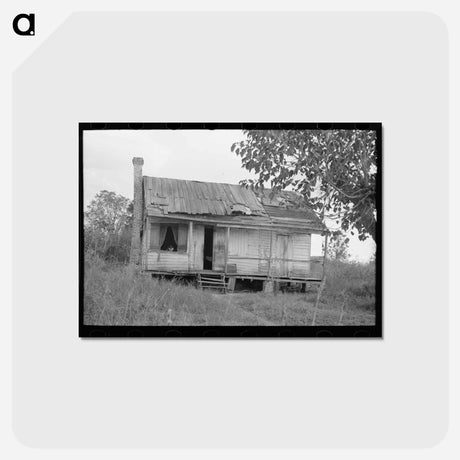アートポストカード-Shack Near Jarreau
 - ラッセル リー Postcard.
