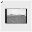 アートポストカード-Plowed Land, Williamson County
 - ラッセル リー Postcard.